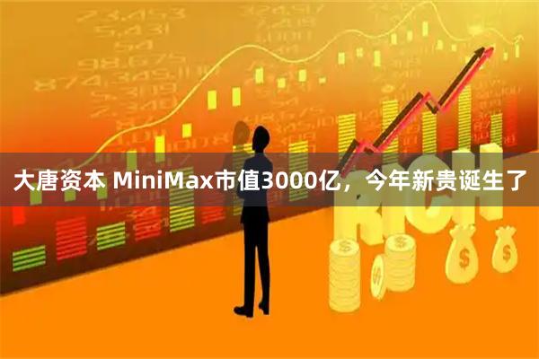 大唐资本 MiniMax市值3000亿，今年新贵诞生了