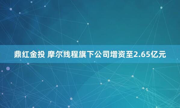 鼎红金投 摩尔线程旗下公司增资至2.65亿元