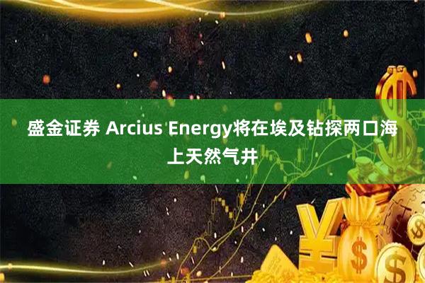 盛金证券 Arcius Energy将在埃及钻探两口海上天然气井