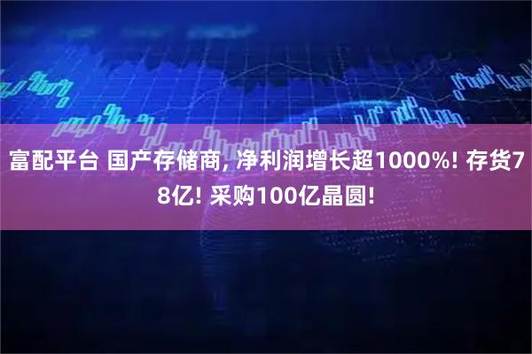 富配平台 国产存储商, 净利润增长超1000%! 存货78亿! 采购100亿晶圆!