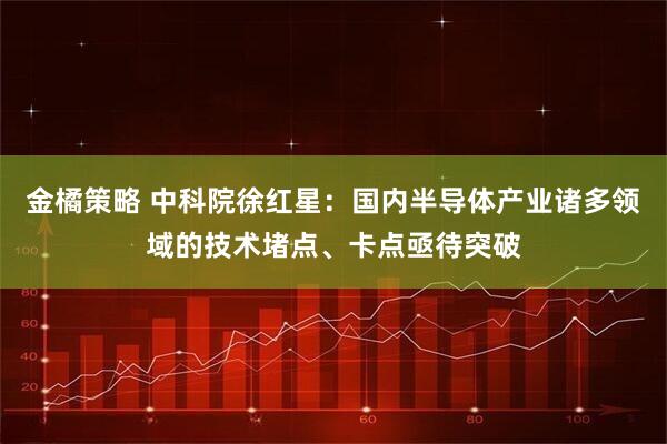 金橘策略 中科院徐红星:国内半导体产业诸多领域的技术堵点、卡点亟待突破